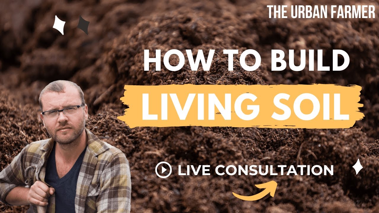 How to Build Living Soil - LIVE CONSULTATION [LISTEN IN]
