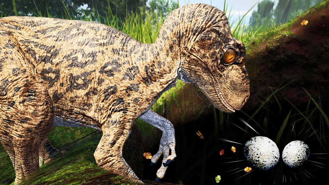 Invadindo a Toca de Dryossauro, Utahraptor Filhote Caçador ! ALOSSAURO | The Isle Realismo | (PT/BR)