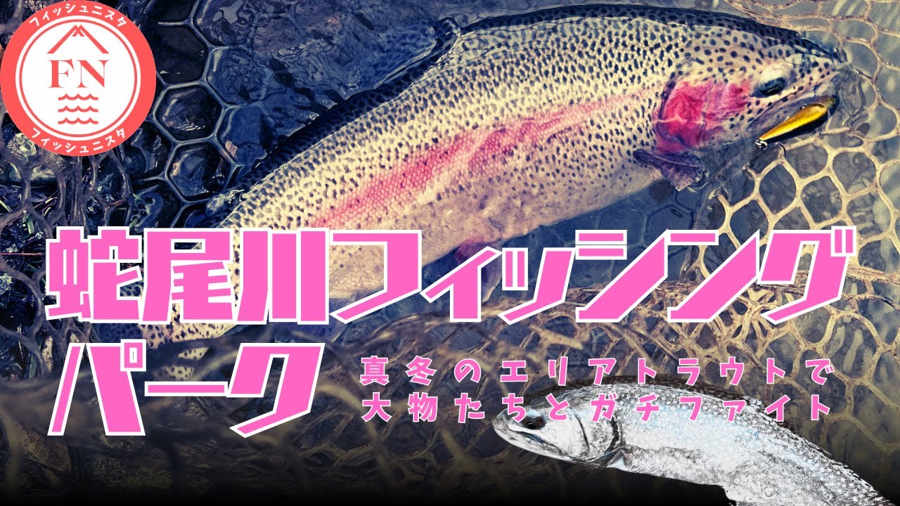 【エリアトラウト 】真冬の蛇尾川フィッシングパークで大物狩り #エリアトラウト #蛇尾川フィッシングパーク #釣り #大物