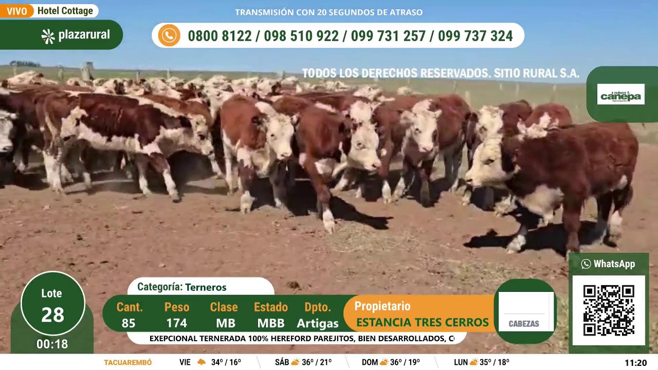 301 Remate de Plaza Rural 25-03-2025
