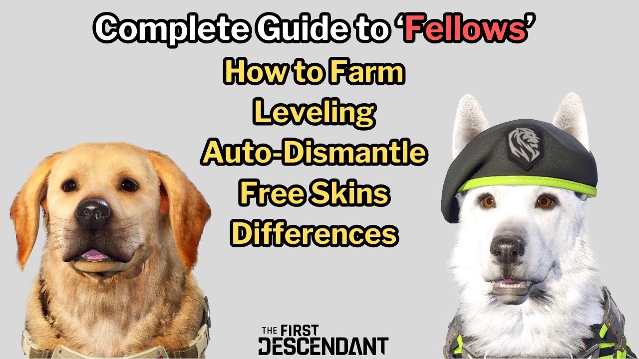 First Descendant - Complete Guide to Fellows - Farming,Leveling & more