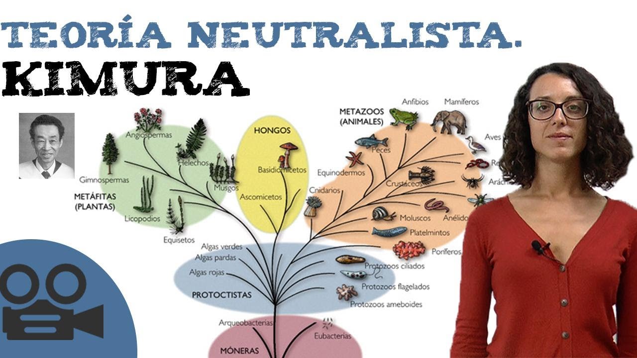 Teoría neutralista de Kimura