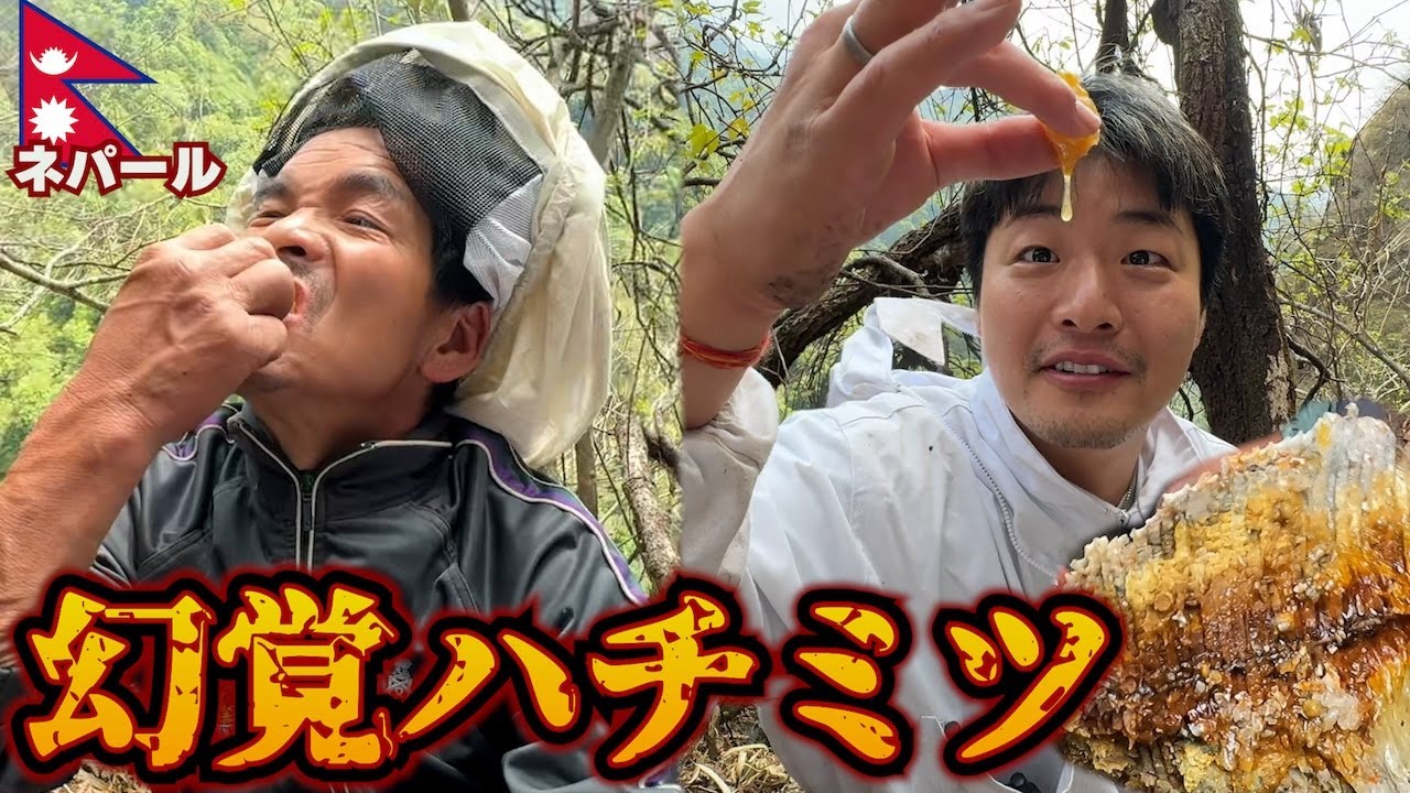 【命懸け】狂ったハニーハンター達とのマッドハニーハント。(後編)inネパール