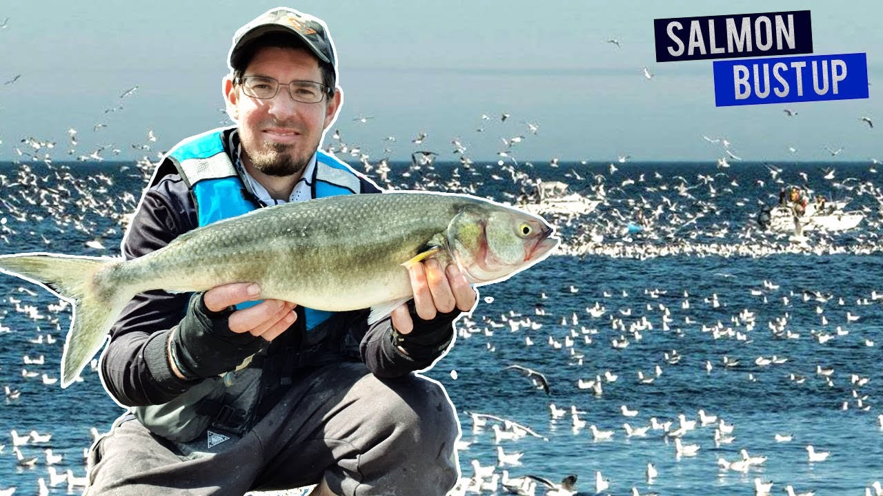 BUST UPS FISHING ( Crazy PPB Salmon Footage )
