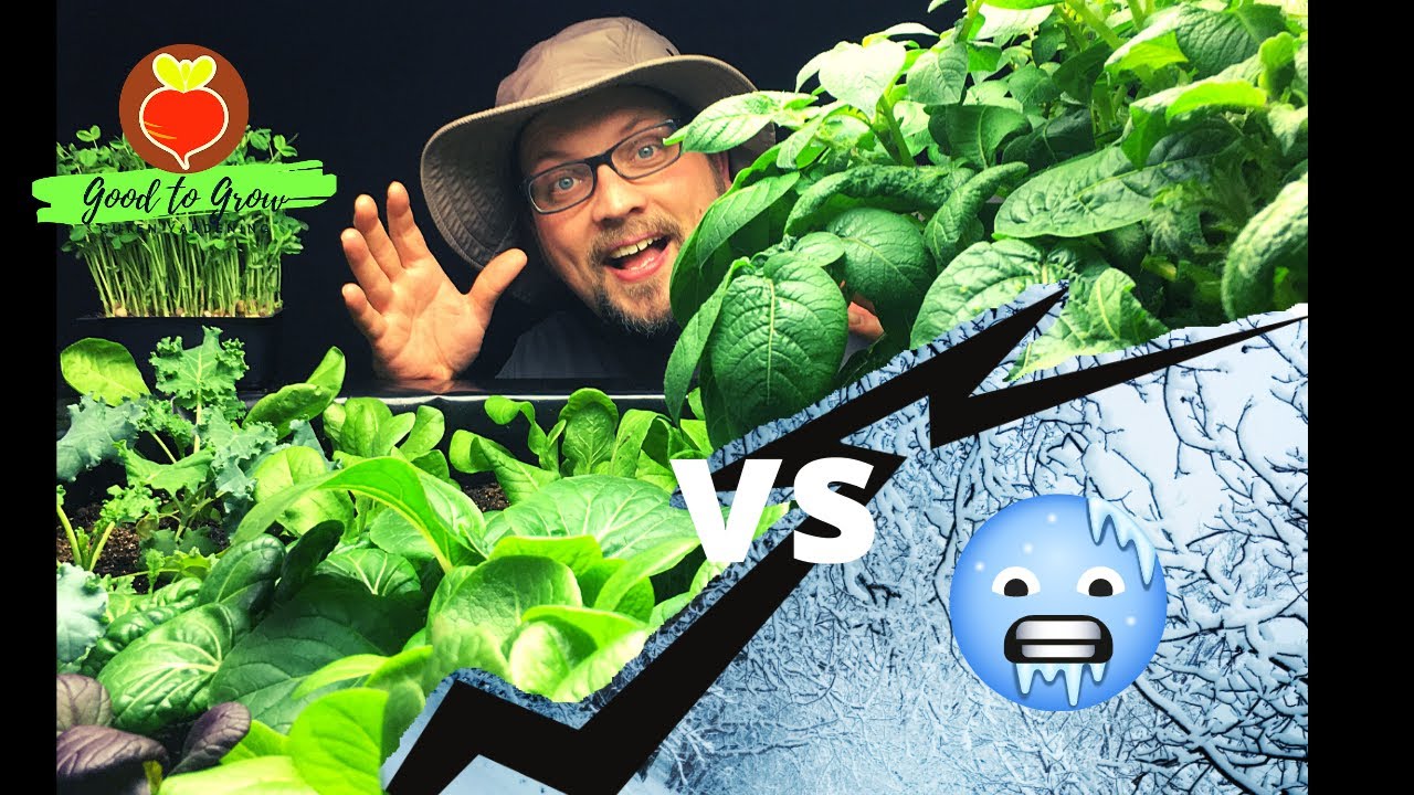 Forever Spring?! Indoor Grow Tent Vegetable Garden Tour January 2021 | Guten Yardening Grow 365!