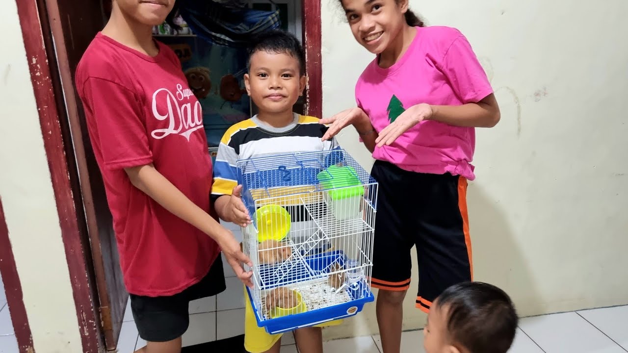 Zefa beli Hamster Lucu ❤️