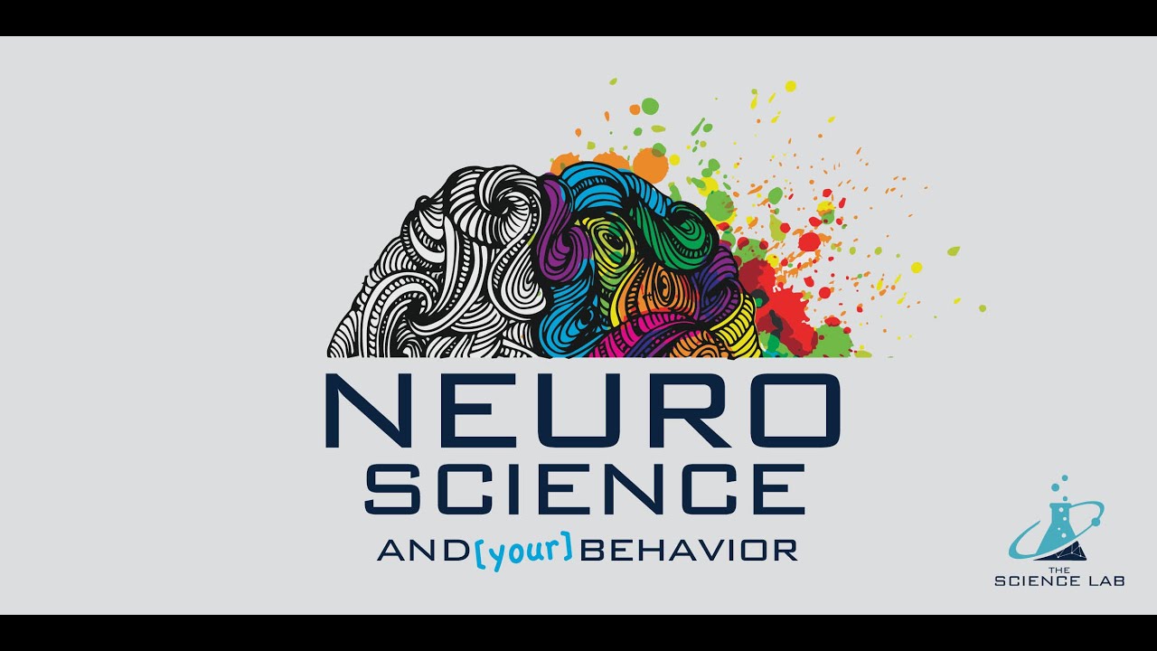 Neuroscience and (Your) Behavior, Part 1: What is neuroscience & why are relationships so important?