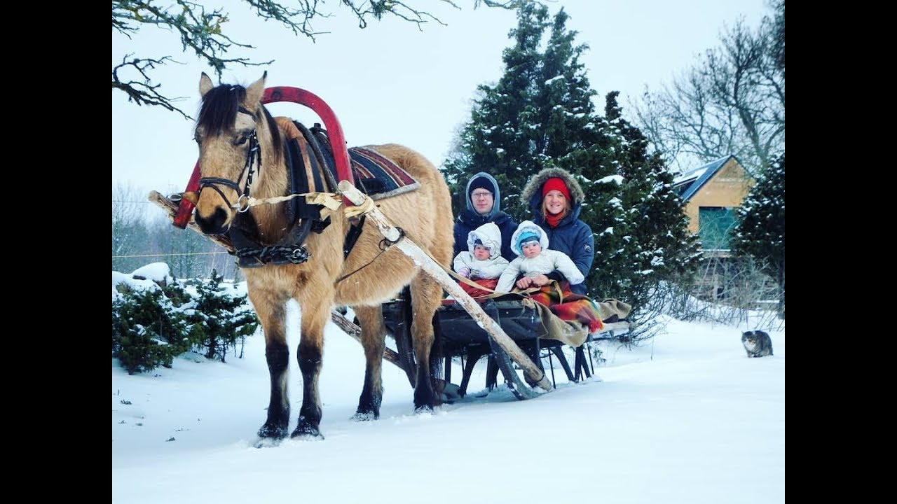 Talverõõmud Minni Hobutegevuses 11.02.2018