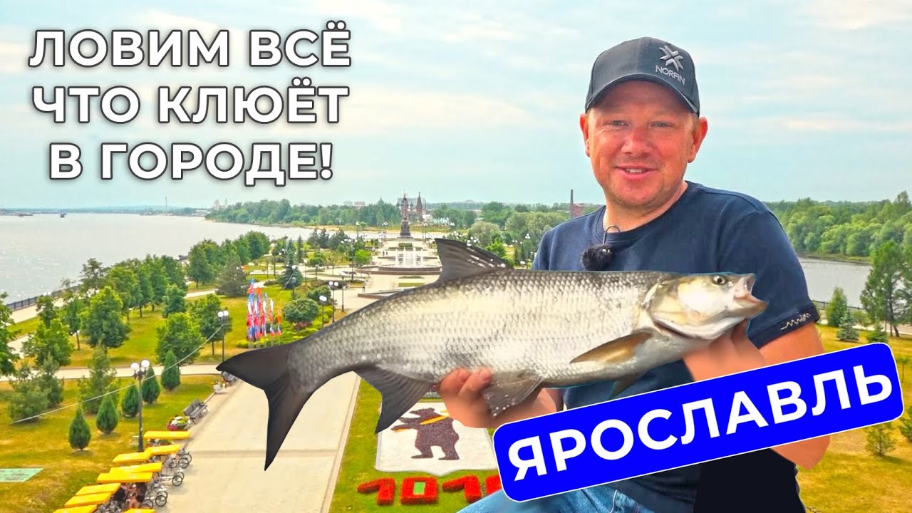 РЫБАЛКА С ЛОДКИ В ЯРОСЛАВЛЕ - ОТКРЫТИЕ СЕЗОНА 2025