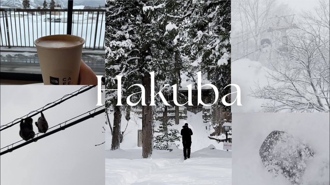 Snowboarding in Hakuba Happo-one | powder day