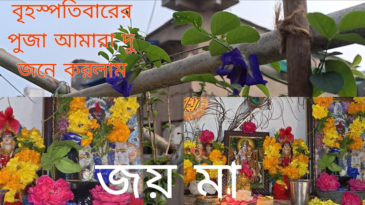 বৃহস্পতিবারের পুজা আমারা দু জনে করলাম 👏👏। রাতে হল ফ্যান ভাত🥚,