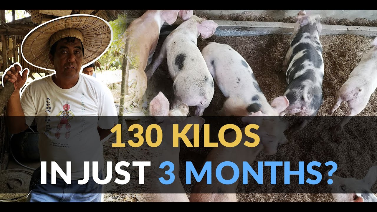 130 Kilos in just 3 months??