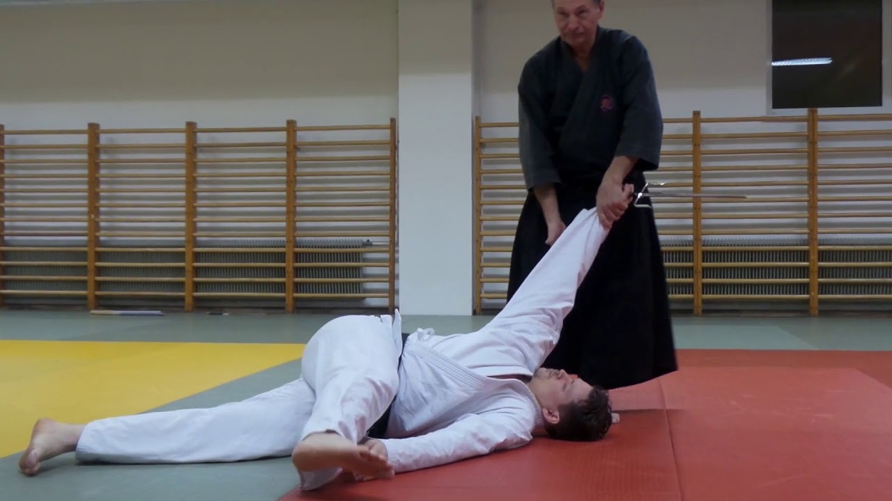 Hubert Laenen Kyoshi  - Impressionen vom Seminar in Graz, Dezember 2019