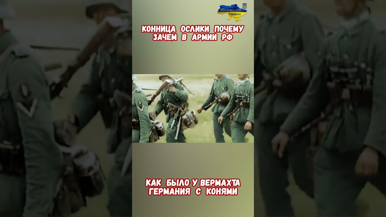 Конница ослики Современное оружие у армии РФ #военные #армиярф #армияроссии #приколы #историявойны