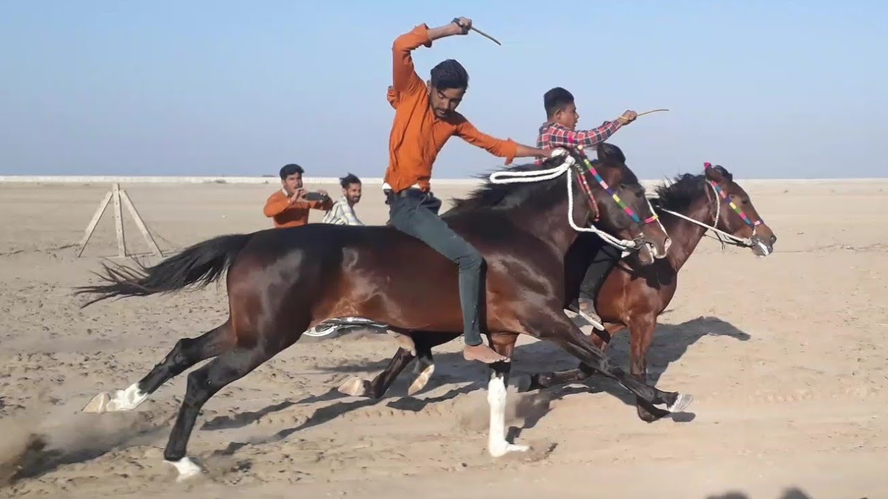 Kutch desi horse race | Badal And Moti