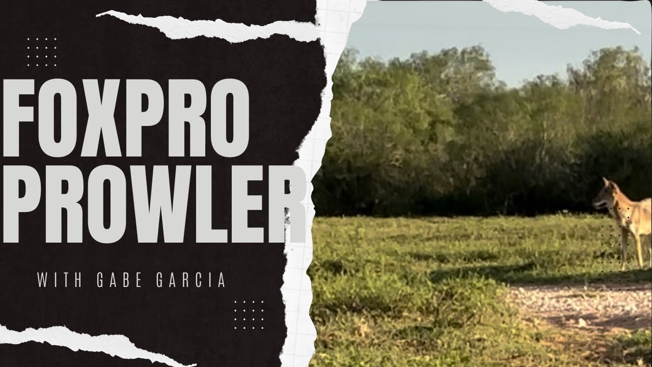 FoxPro Prowler First Successful Coyote Hunt
