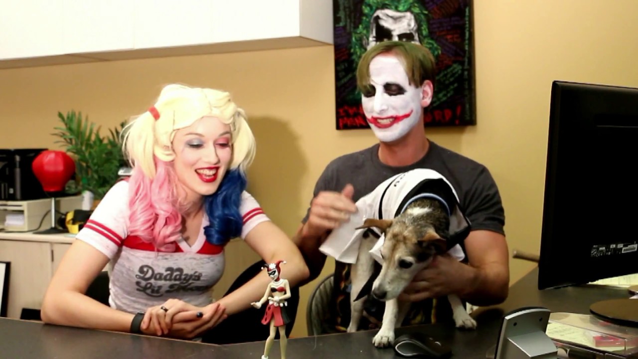 JOKER & HARLEY QUINN | Try Not To Laugh Challenge #6  [Karate Fails]