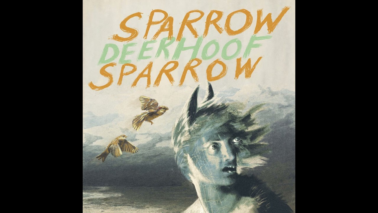Deerhoof - Sparrow Sparrow f/w Overrated Species Anyhow (Official Audio)