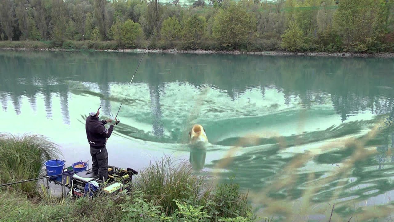 Italian Fishing TV - Colmic - Inglese sul Mincio