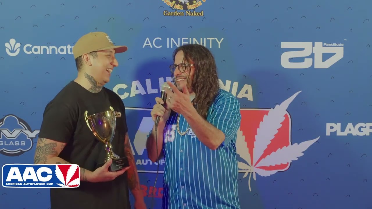 Fast Buds - 1st Place Best Auto Hash 2025 - Winner of the American Autoflower Cup 2025