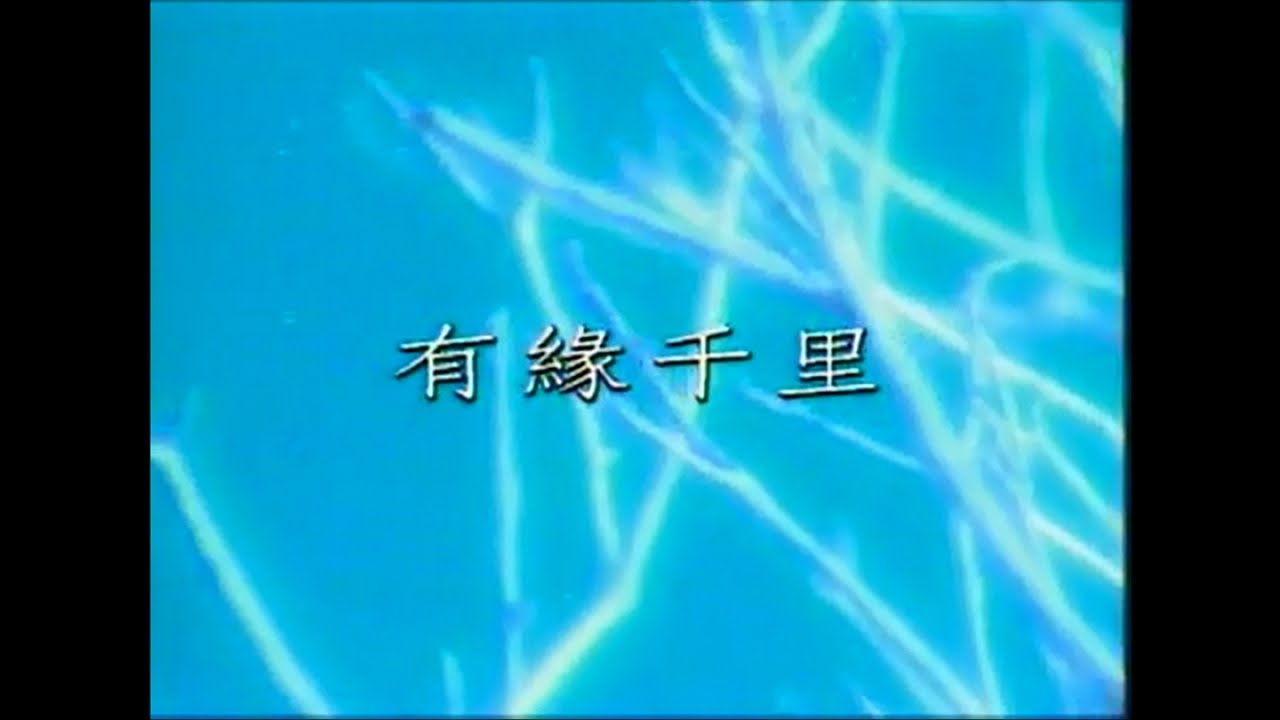 孫耀威 & 酒井法子 - 有緣千里