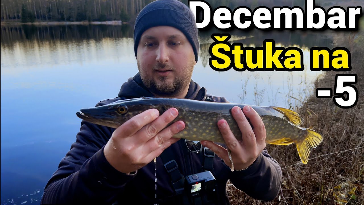 Zimski ribolov. Riba totalno neaktivna ali ipak smo jednu prevarili. Pecanje stuke zimi. Winter Pike