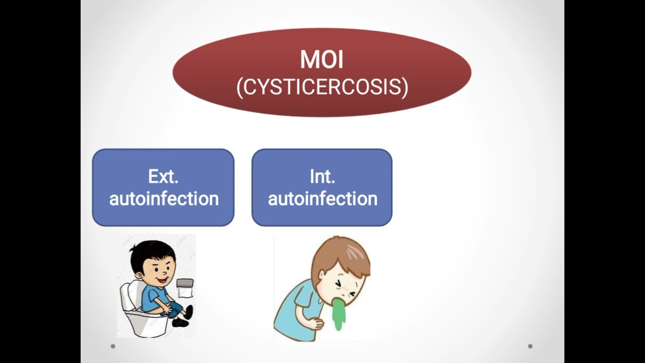 Cysticercosis (Taenia solium) داء الكيسات المذنبة