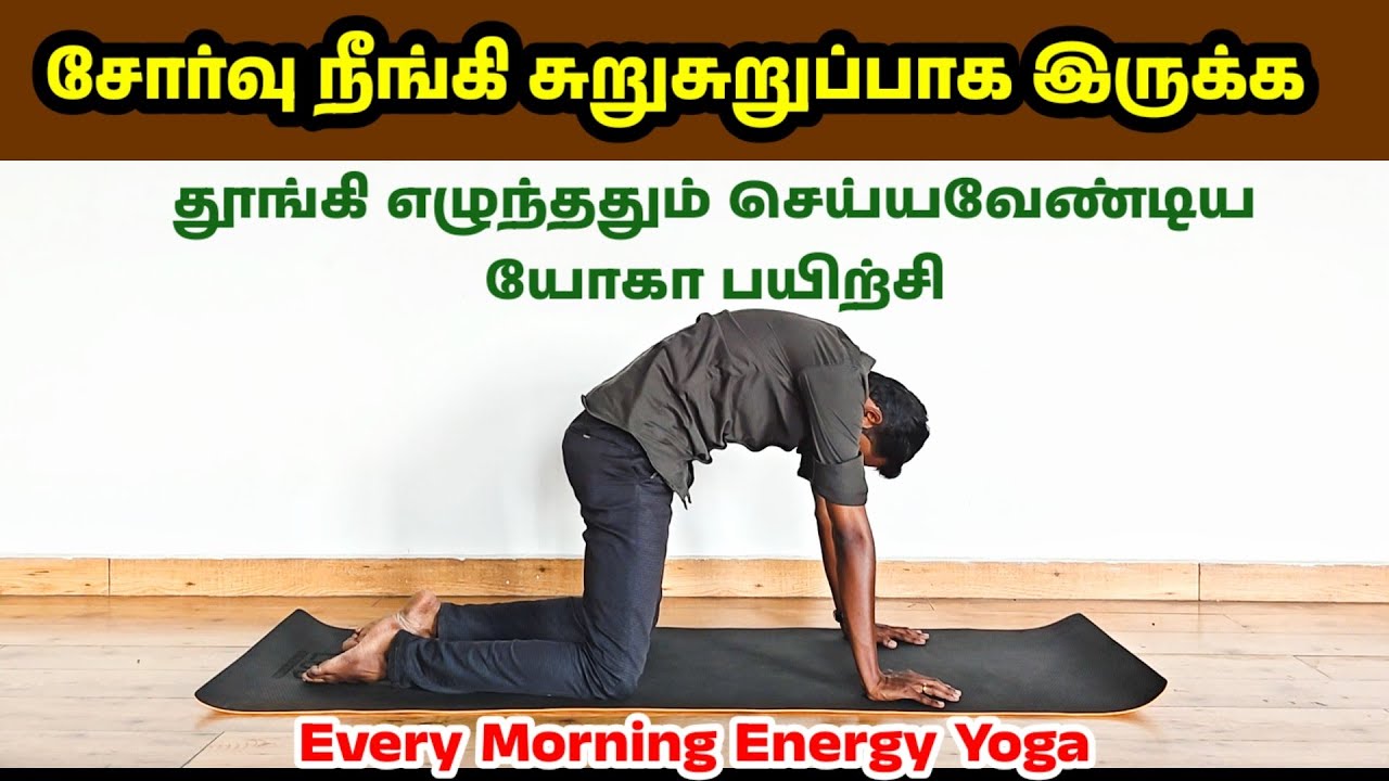 காலை முழுக்க புத்துணர்ச்சி தரும் யோகா பயிற்சி | சோர்வு நீங்கி உற்சாகம் பெருக 