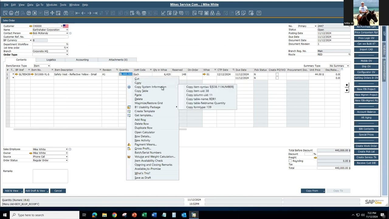 SAP Business One - Formatted Searches Example