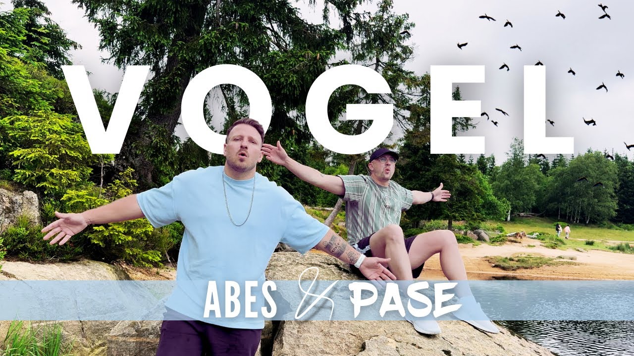 ABES x PASE - Vogel