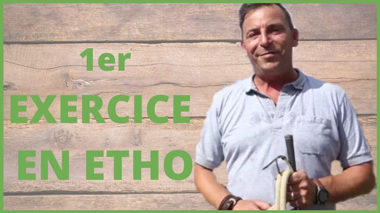 LA PREMIERE CHOSE A FAIRE AVEC SON CHEVAL