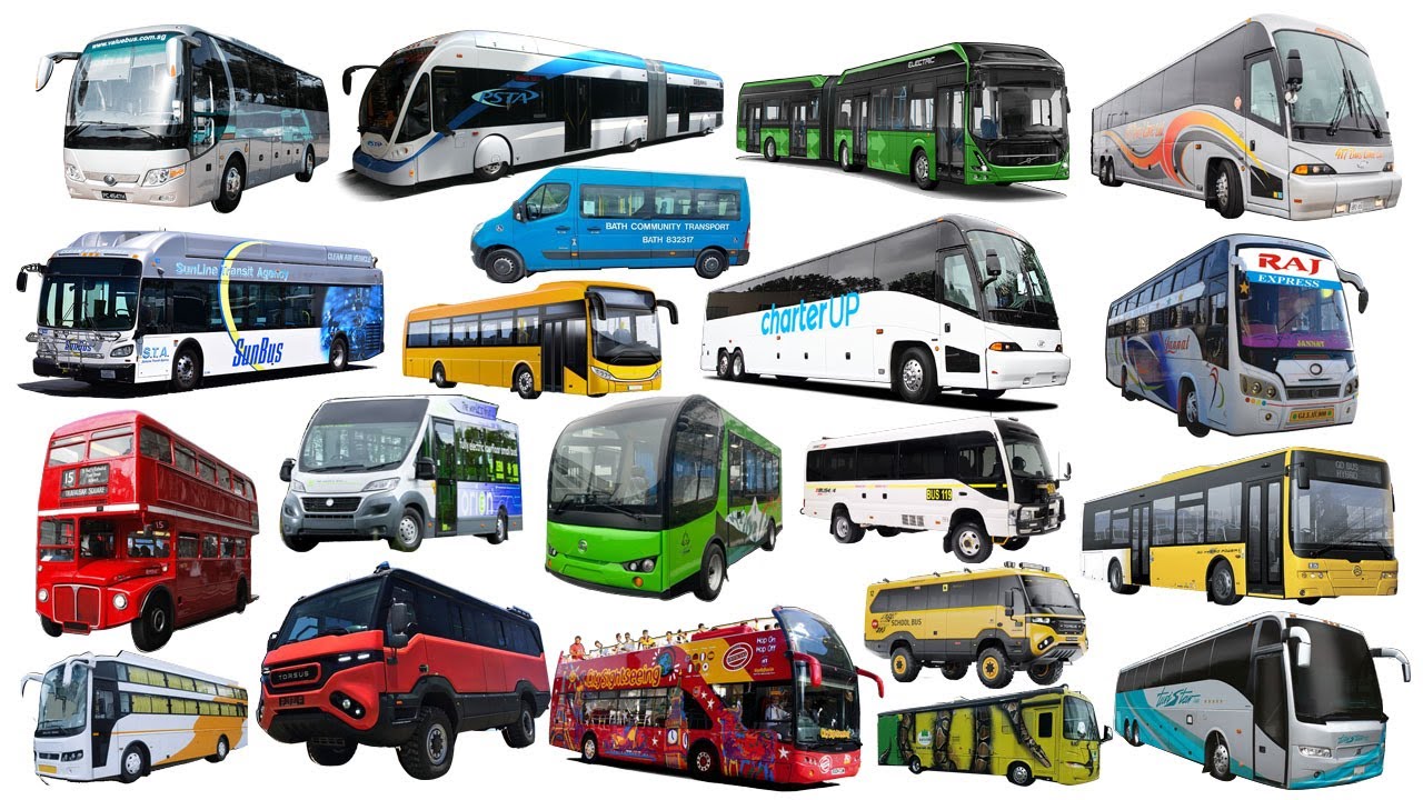 Названия автобусов для детей 🚌 | Изучаем названия транспортных средств на английском языке | Горо...