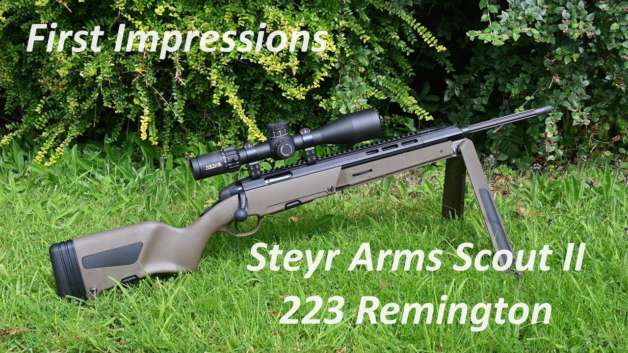 Steyr arms Scout II in 223, First Impressions