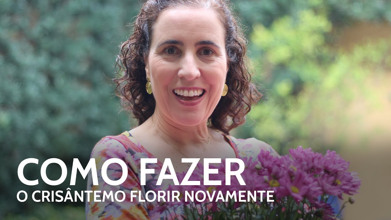 🌸👍Como Fazer o Cris&acirc;ntemo Florir Novamente | N&ocirc; Figueiredo