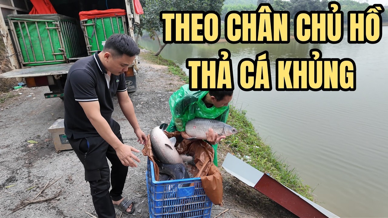 THEO CHÂN BÁC CHỦ HỒ THẢ CÁ KHỦNG