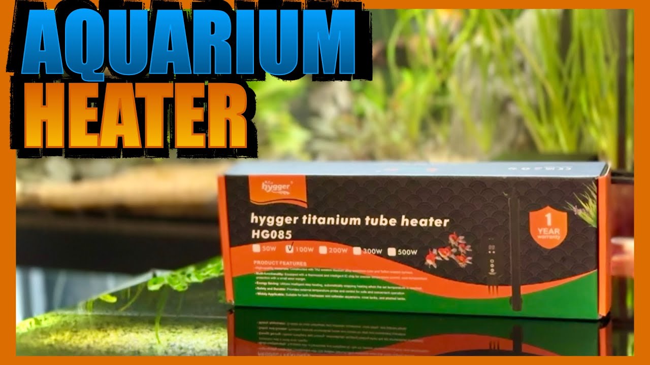 Hygger HG085 heater test and review + angelfish cull updated