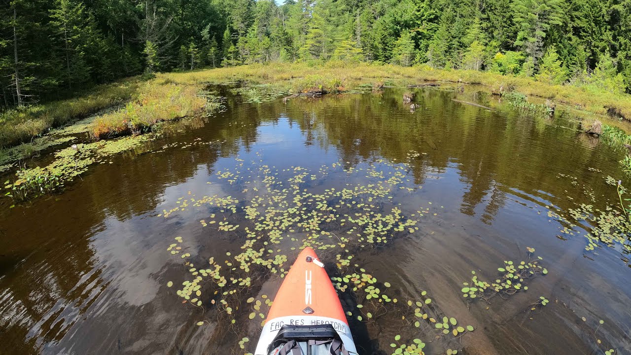 Adirondacks vol  2 St  Regis Canoe Wilderness Loop