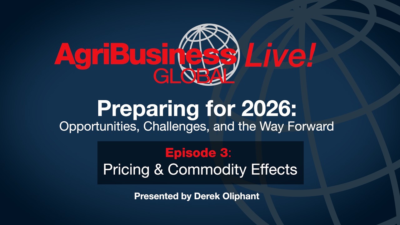 Episode 3  Pricing & Commodity Effects
