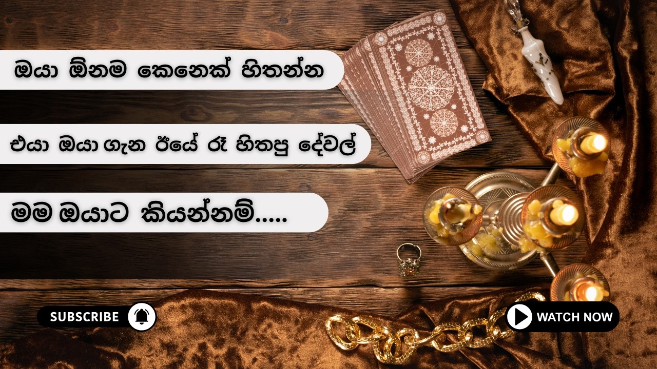 Think of Someone... Their Late Night Thoughts About You.. 💭❤️ tarot card reading sinhala