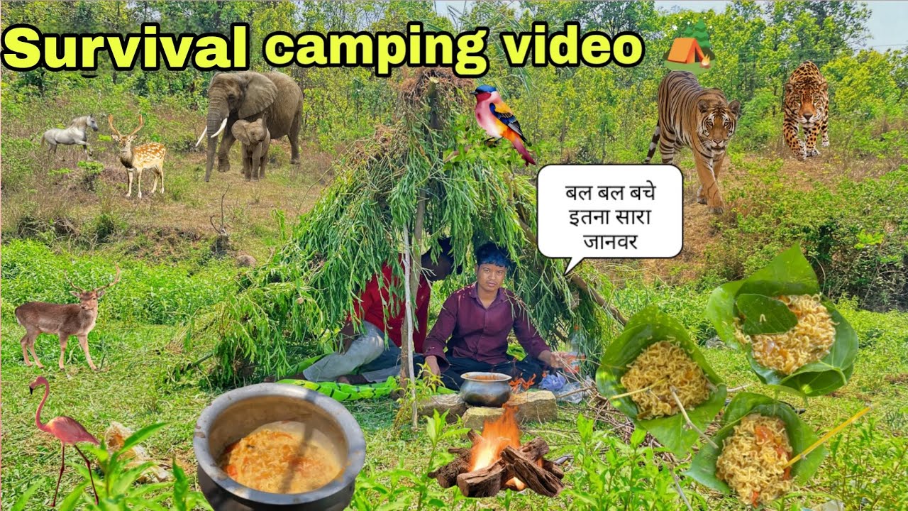 Survival shelter Building House|| Deep Forest Group with friends|| jungle camping and cooking video 