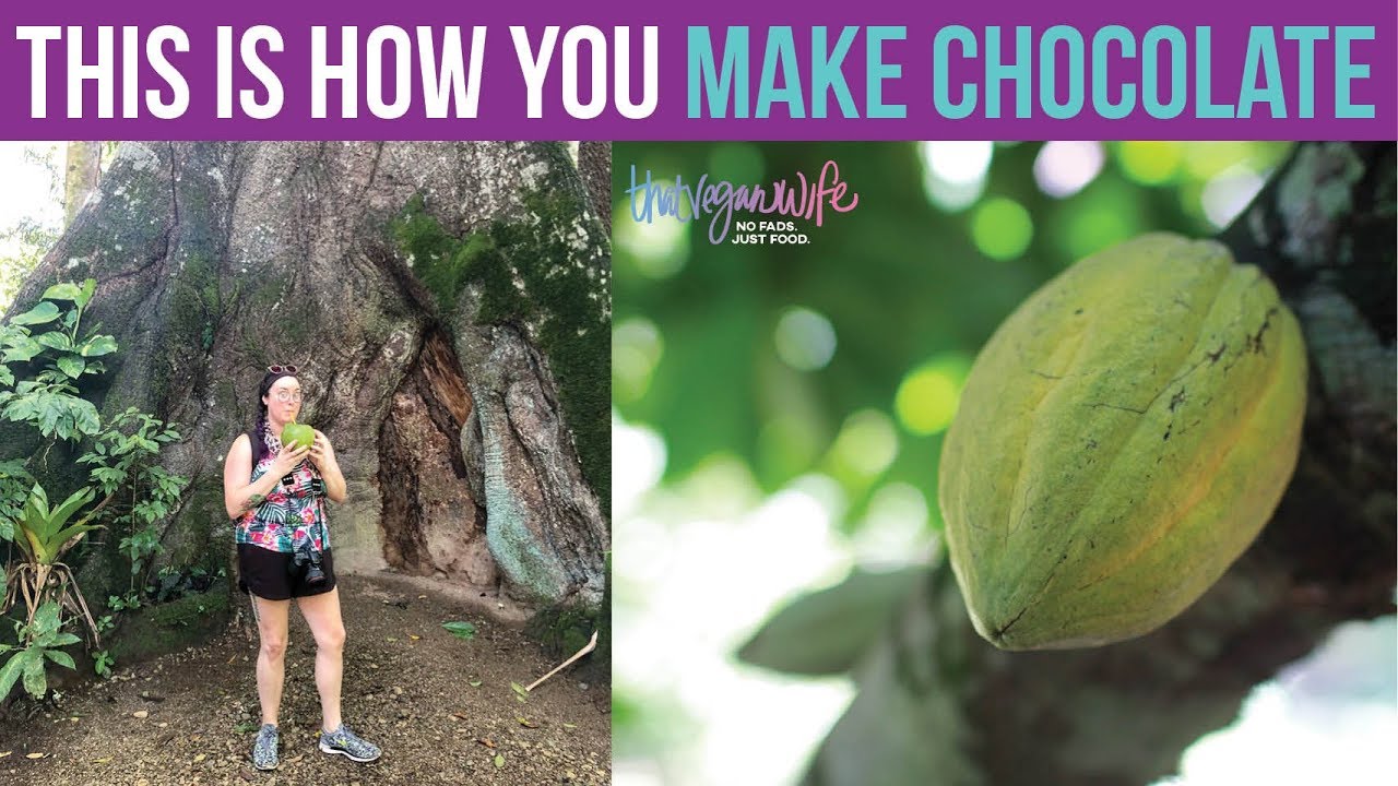 Pura Vida Series: Chocolate Factory Tour | ThatVeganWIfe