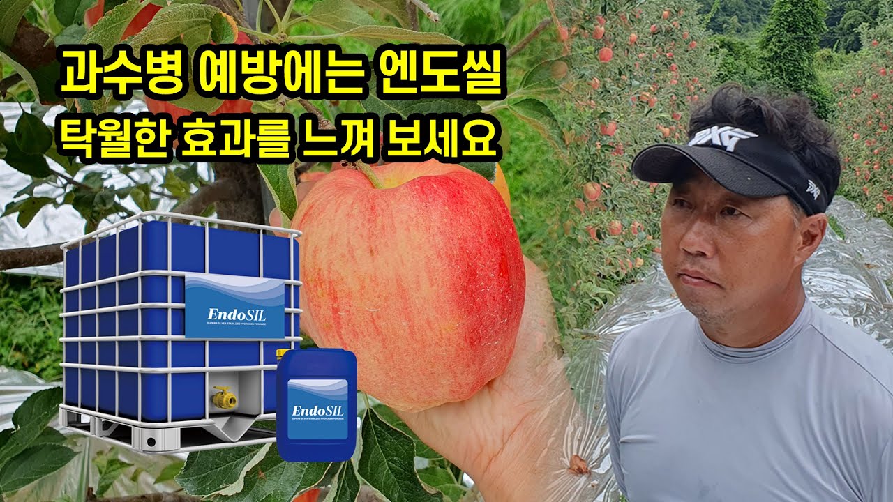 과수병 예방에는 엔도씰! 탁월한 효과를 느껴 보세요.