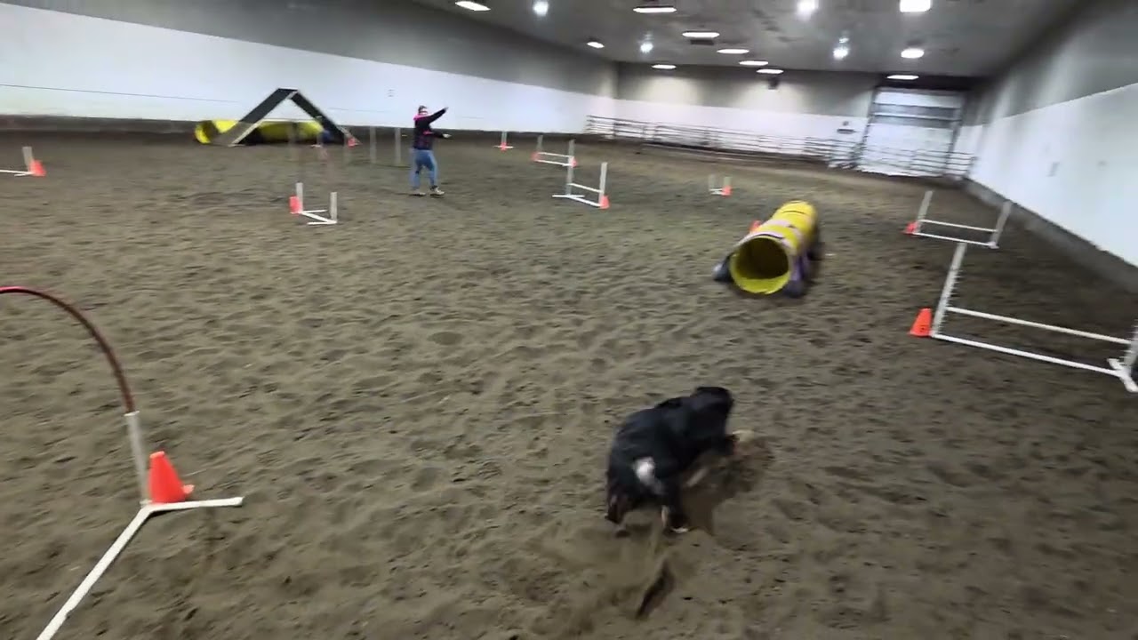 Cooper Kamikaze Aussies