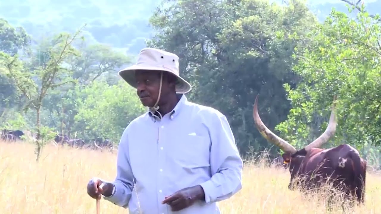 President Museveni celebrates 2023 new year at his Rwakitura home farm
