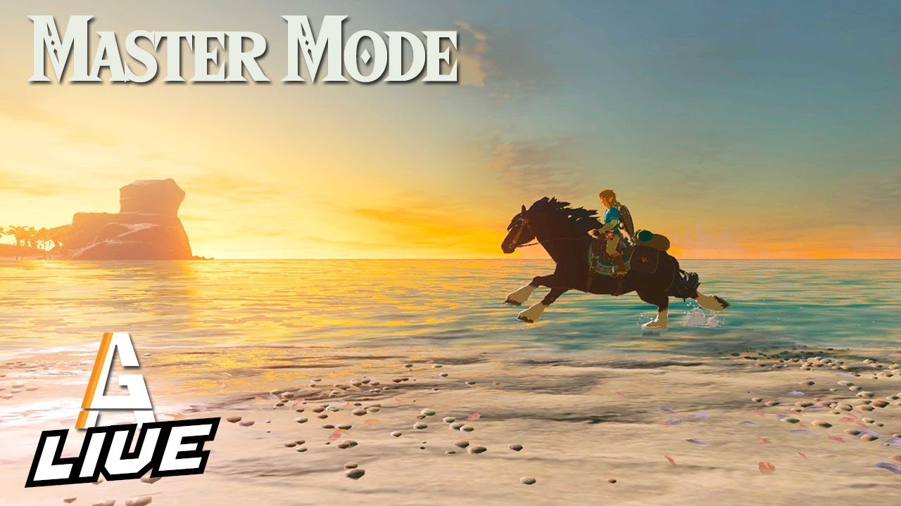 BACK TO HYRULE: BotW MASTER MODE LIVE
