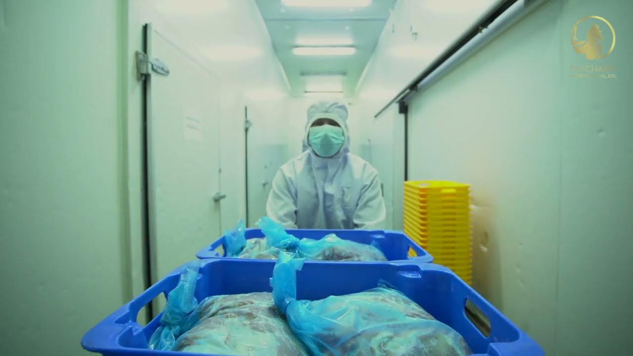Chicken Process Food Factory | Patchara Interfood