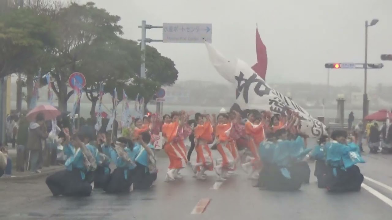 祝第20回黒潮よさこい祭り(20231126)若欅-wakakeyaki-