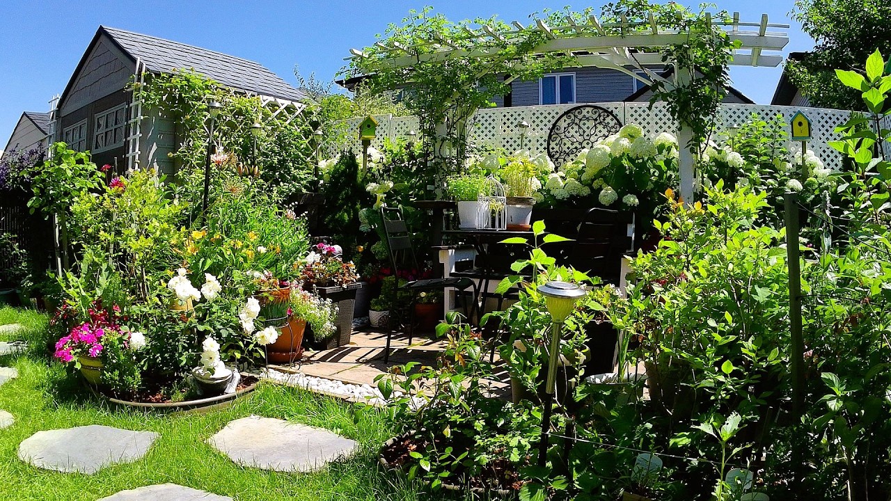 SUMMER Full Tiny Backyard Garden Tour | Relaxing Plants and Flowers #garden #gardening #flowers