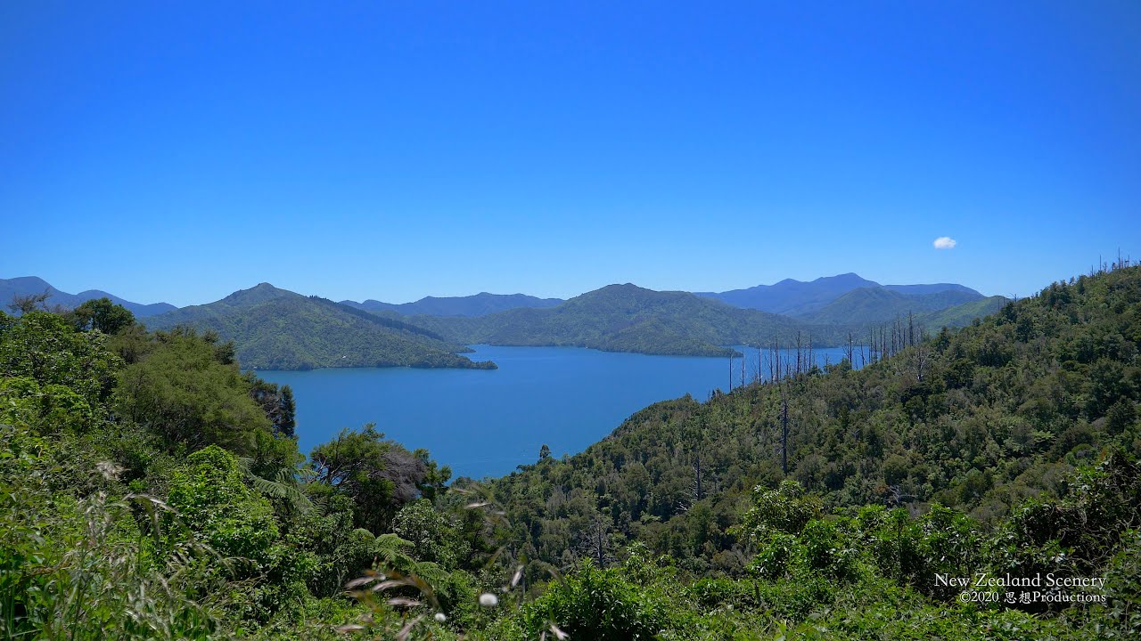 4K Picton ➡︎ Havelock Marlborough Sounds NEW ZEALAND ニュージーランド 紐西蘭 Part 37