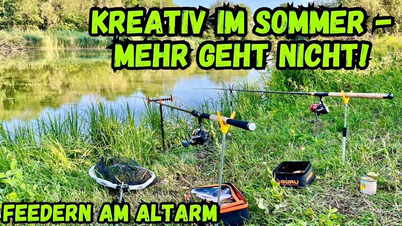 Method Feeder & Klassisch Feedern am alten Fluss!